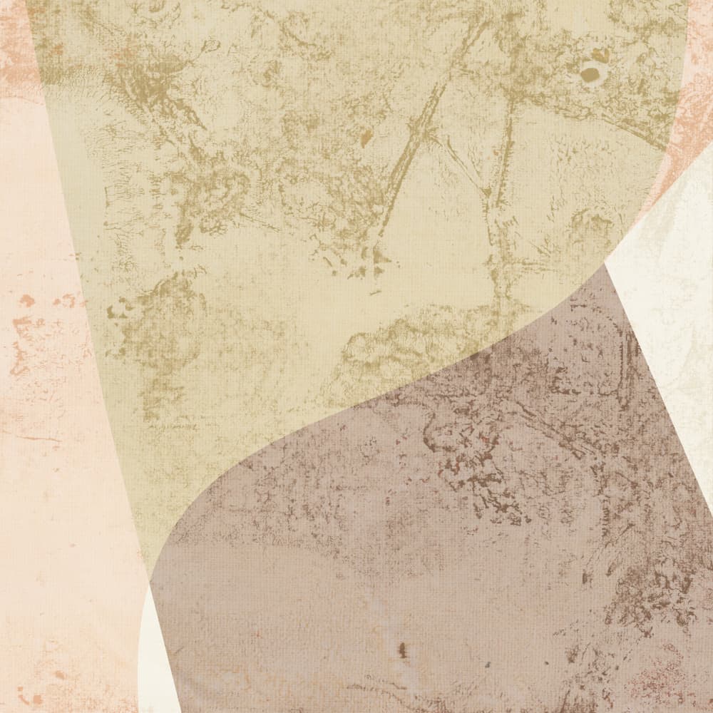 Textured Earth Tone Abstract by Dina Dankers — canvas wall art