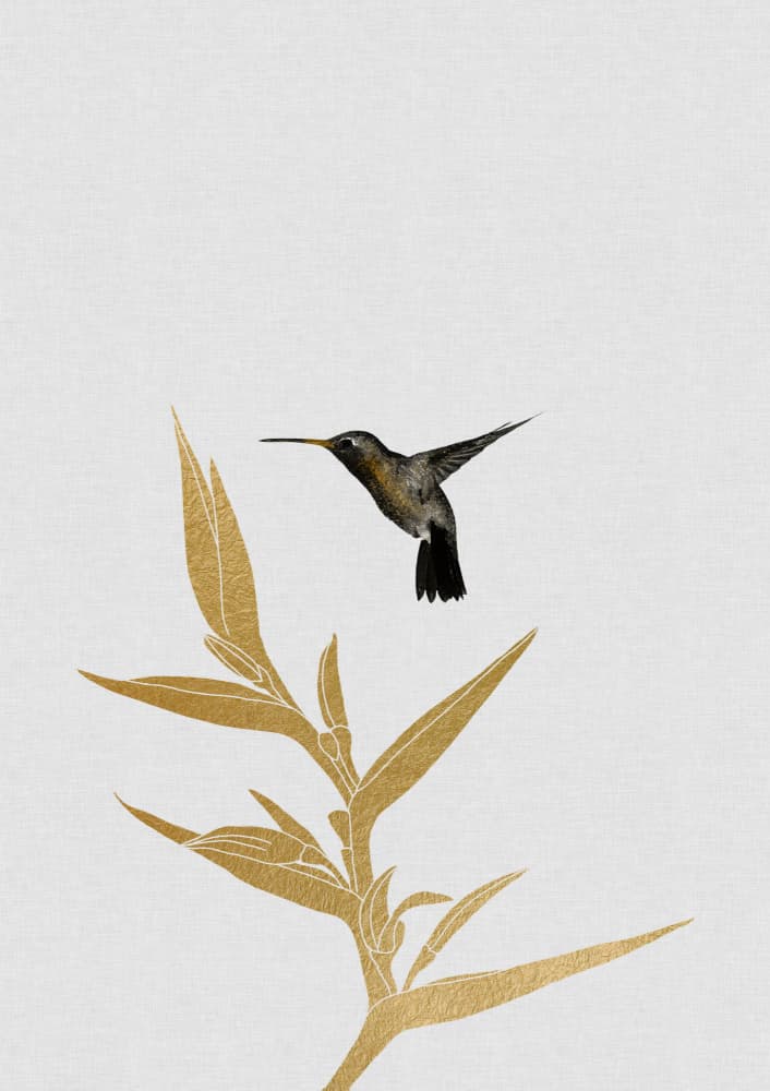 Golden Hummingbird Flight by Orara Studio — canvas wall art
