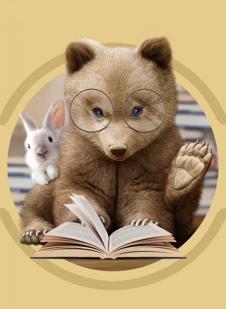 Reading Bear And Bunny by Adam Lawless — canvas wall art