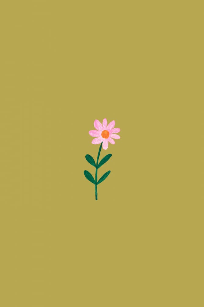 Simple Pink Flower by Karen Menzenbach — canvas wall art