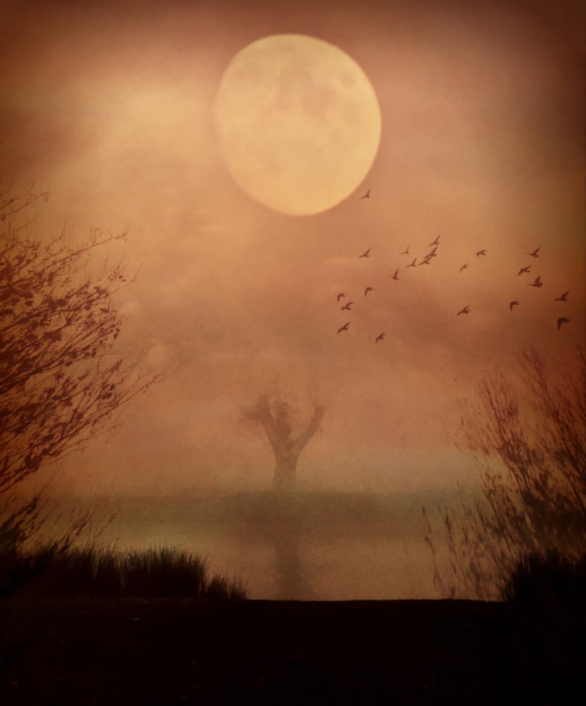 Misty Moon Over Water by Robert Fabrowski — canvas wall art