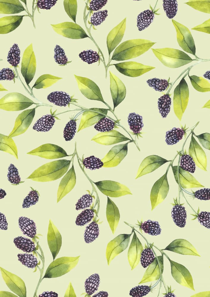 Sweet Berries Watercolor by Linda Sitniece — canvas wall art