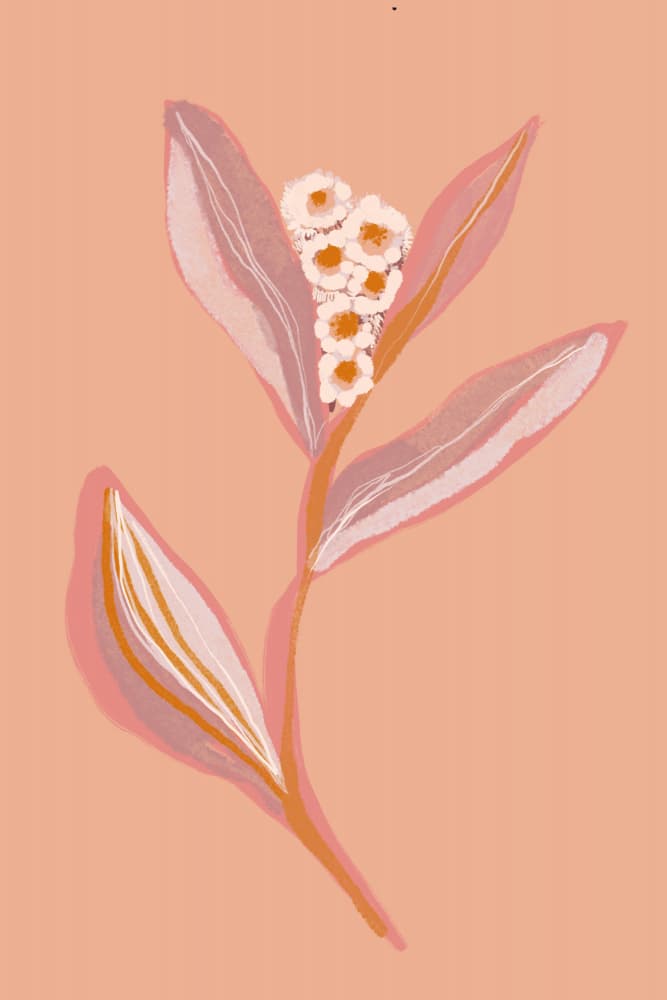 Peach Floral Bloom by Gemma Bardot — canvas wall art