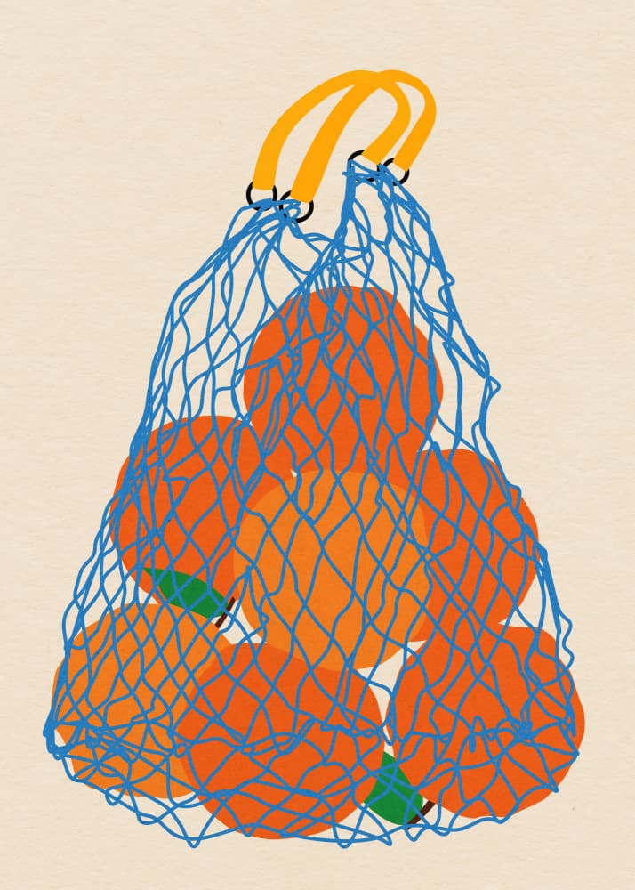 Oranges In a Net Bag Update 24 by Rosi Feist — canvas wall art