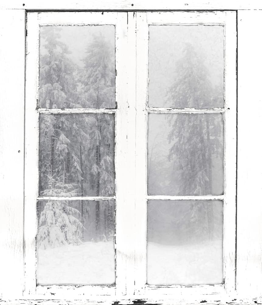 Winter Window View by Stephanie Kleimann — canvas wall art