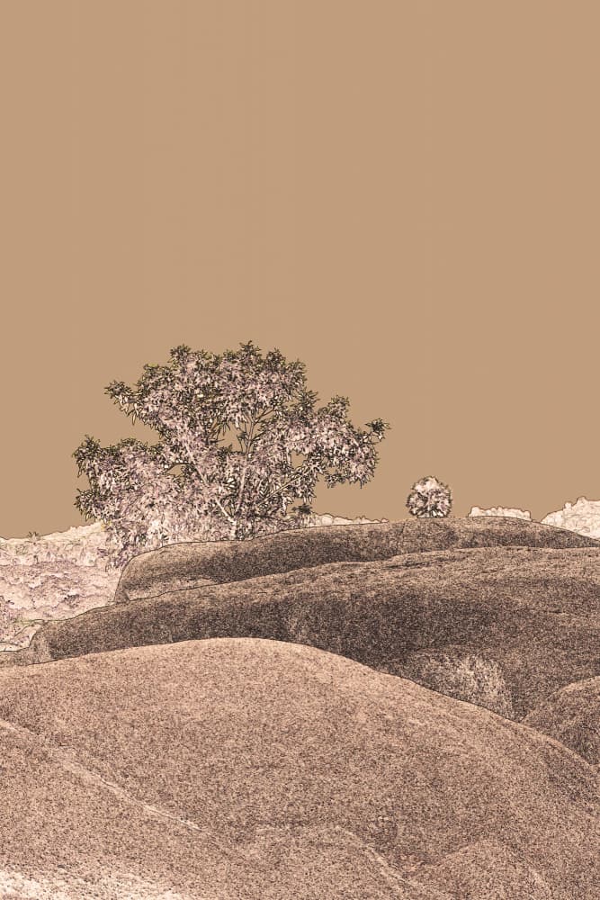 Desert Hillside Tree by Santhosh ch — canvas wall art