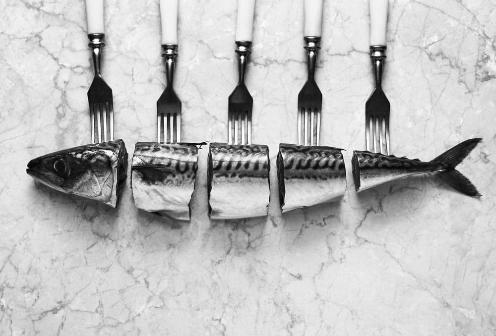 Fresh Mackerel Still Life by Karina Aleksandrova — canvas wall art