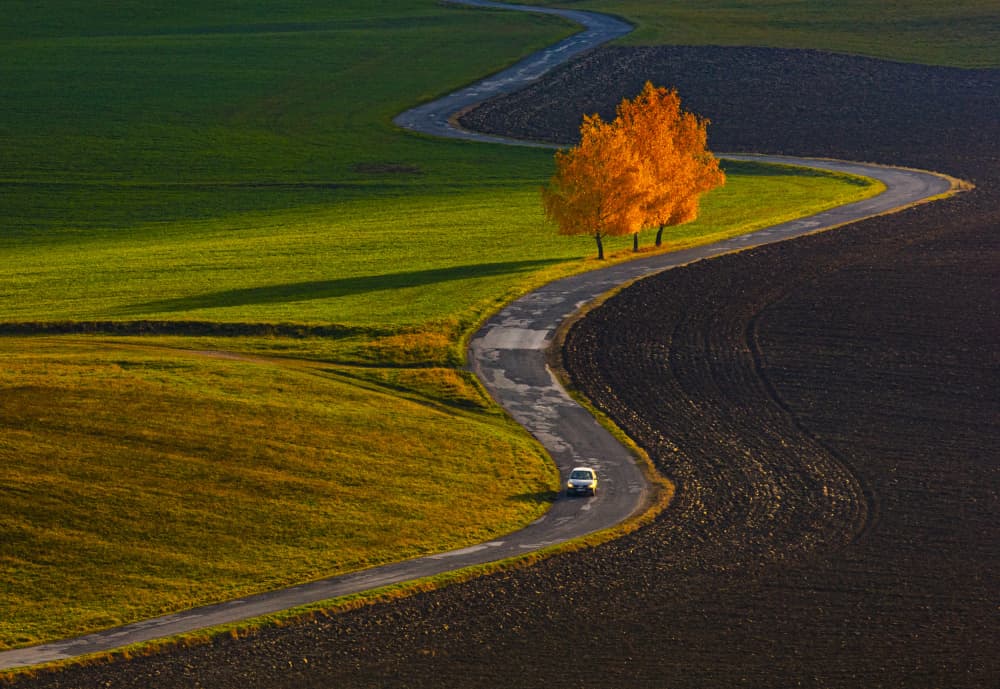 Winding Autumn Road by Peter Hrabinsky — canvas wall art