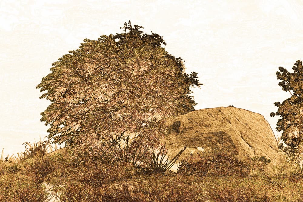 Tranquil Sepia Landscape by Santhosh ch — canvas wall art