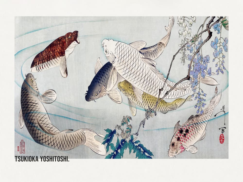 Six Carp Swimming Beneath Wisteria (1889) by Tsukioka Yoshitoshi — canvas wall art