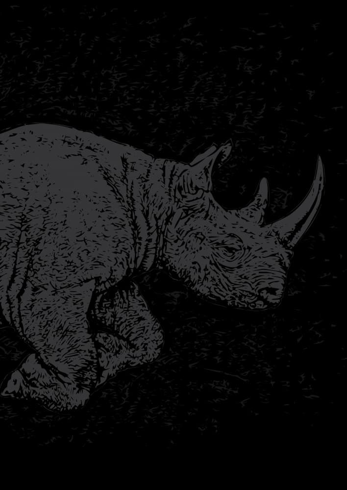 Dark Rhino Power by Carlo Kaminski — canvas wall art