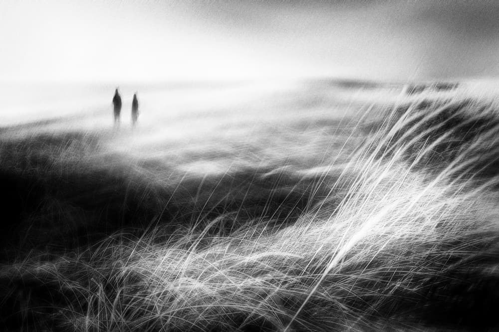 Misty Coastal Journey by Gustav Davidsson — canvas wall art