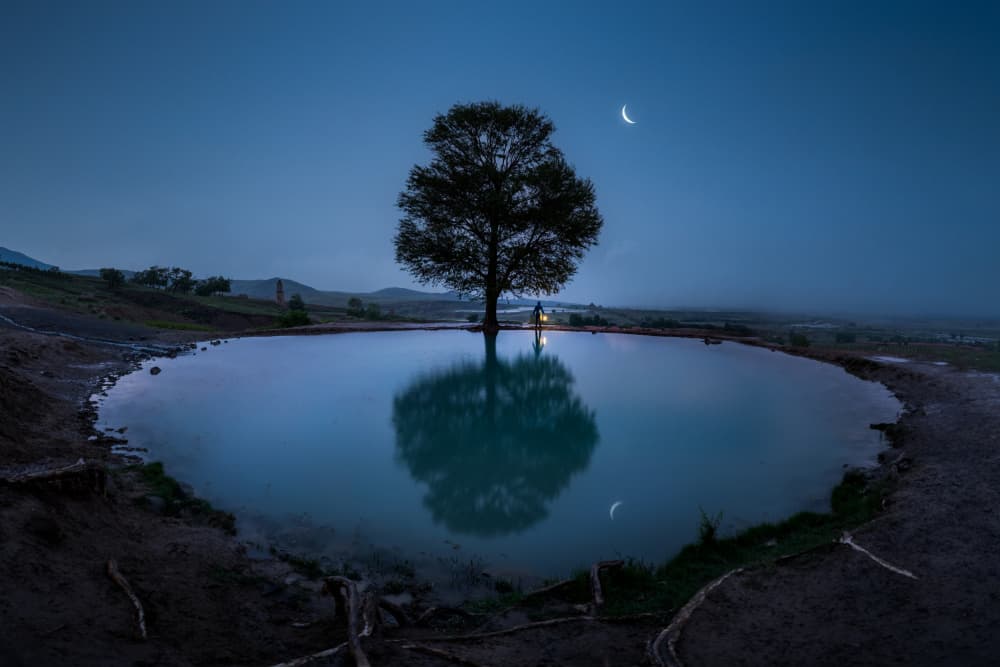 Crescent Moon Pond Tree by Simoon — canvas wall art