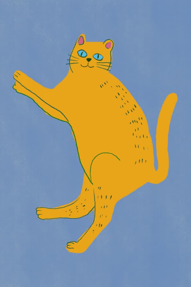 Playful Orange Cat by Little Dean — canvas wall art