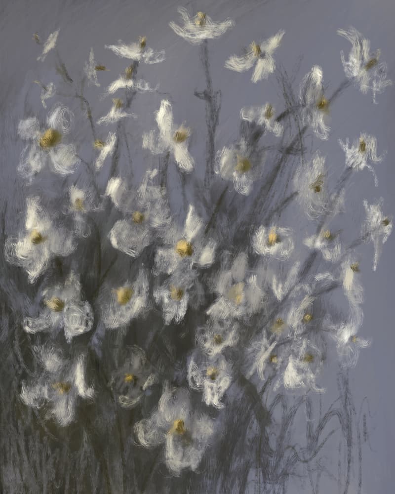 Dreamy White Flowers by James Zamora — canvas wall art