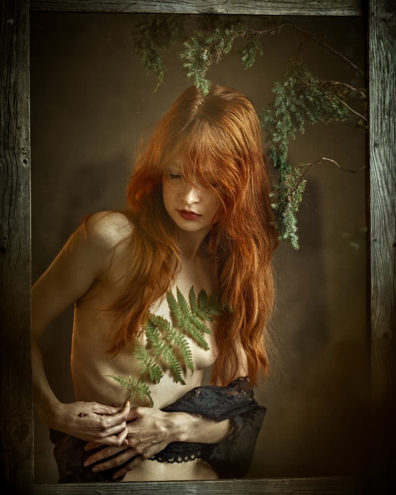 Redhead Among Ferns by Franky De Meyer — canvas wall art