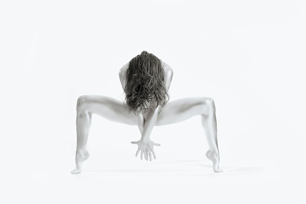 Graceful Dance Form