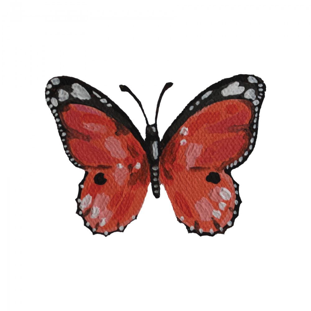 Vibrant Red Butterfly by Madison Phipps — canvas wall art