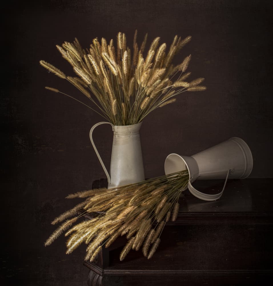 Rustic Plumes and Pitchers by Margareth Perfoncio — canvas wall art