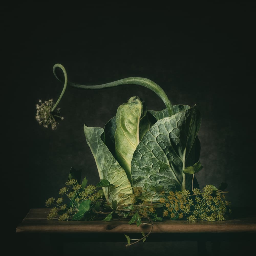 Moody Green Still Life by Monique van Velzen — canvas wall art