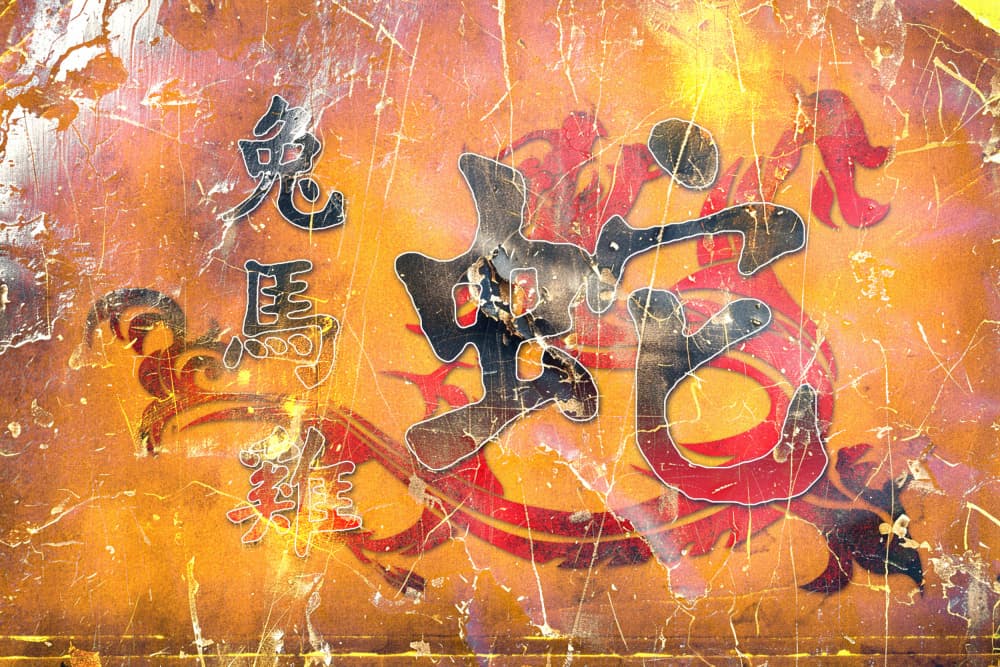 Vintage Dragon Zodiac by Rafal Kulik — canvas wall art