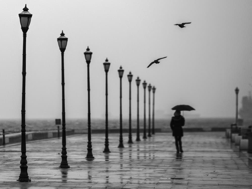 Solitary Rainy Promenade by Ummu Nisan Kandilcioglu — canvas wall art