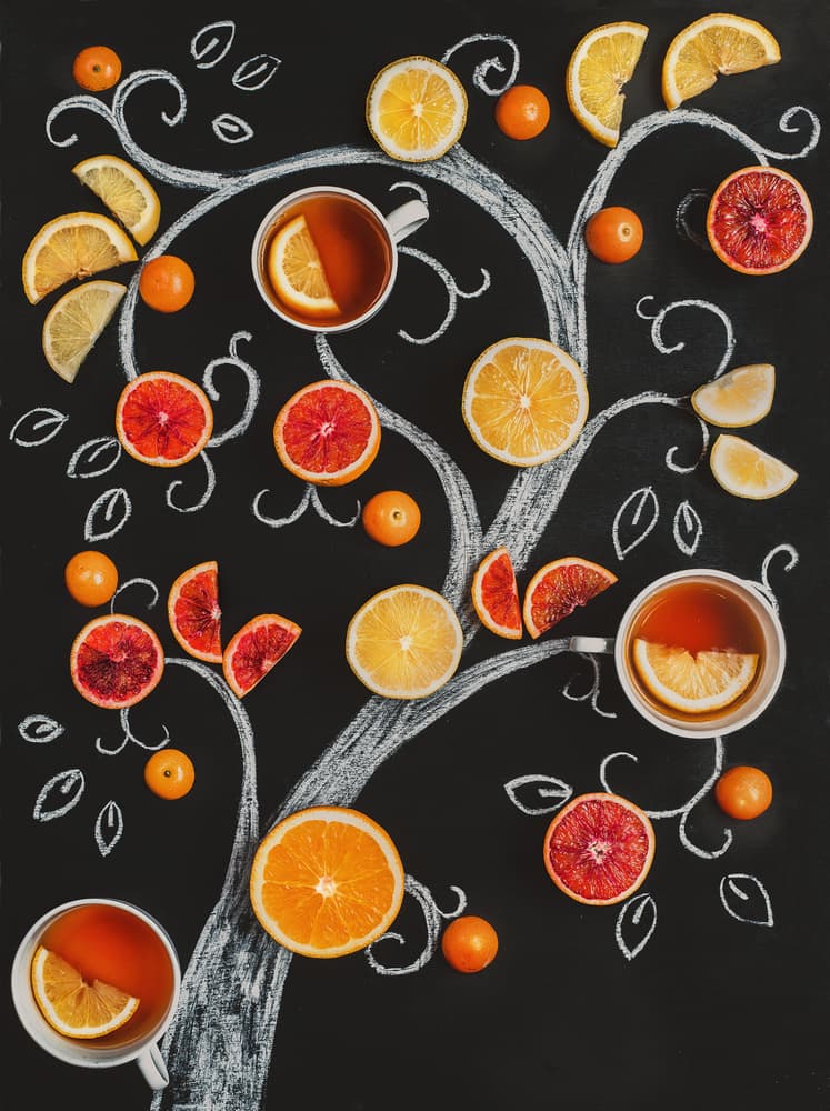Citrus Tea Tree by Dina Belenko — canvas wall art