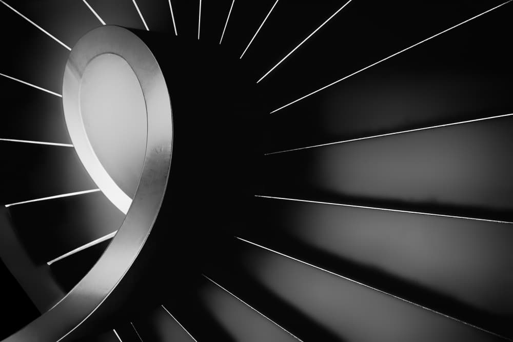 Abstract Spiral Curves by Paulo Abrantes — canvas wall art