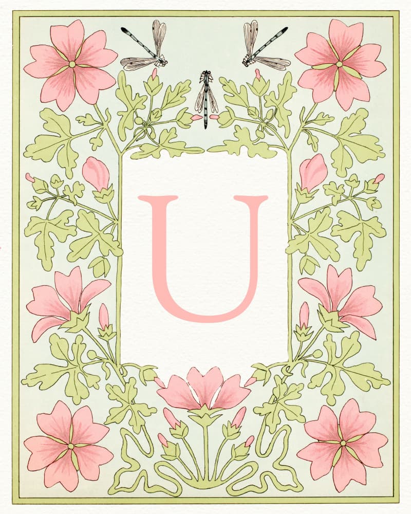 Pink Floral Letter U by Wild Violets — canvas wall art