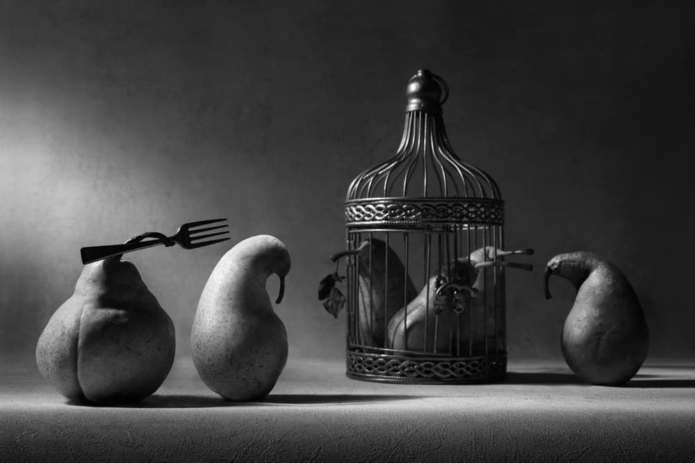 Surreal Pear Birdcage by Victoria Glinka — canvas wall art