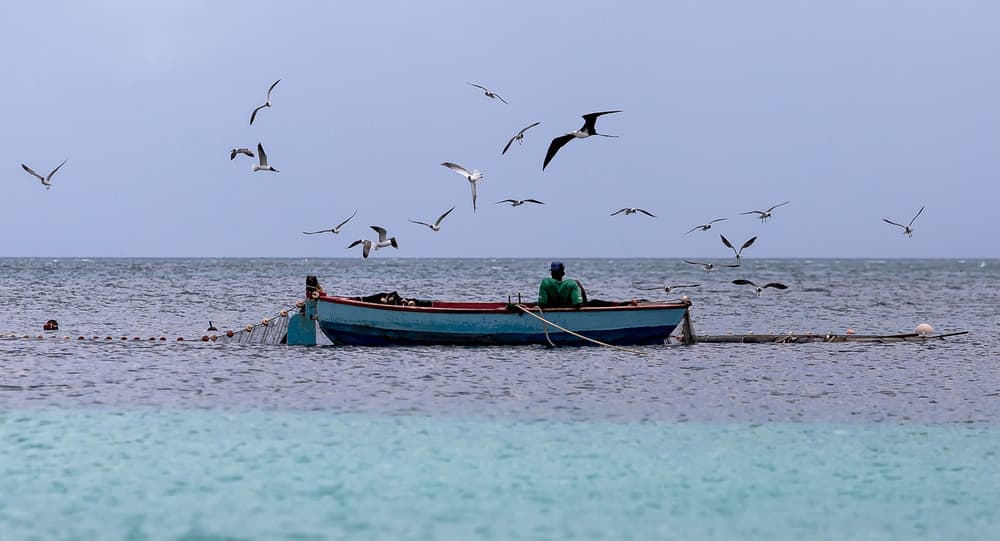 Fisherman and Flying Birds by Ugur Erkmen — canvas wall art