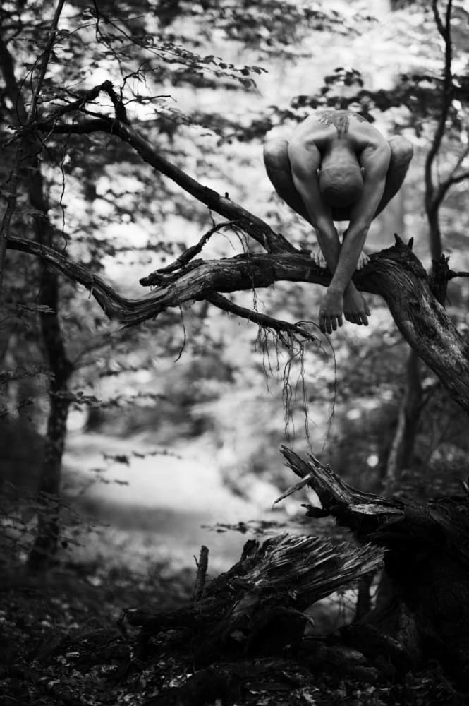 Contemplative Forest Figure by Korpan Pavlo — canvas wall art