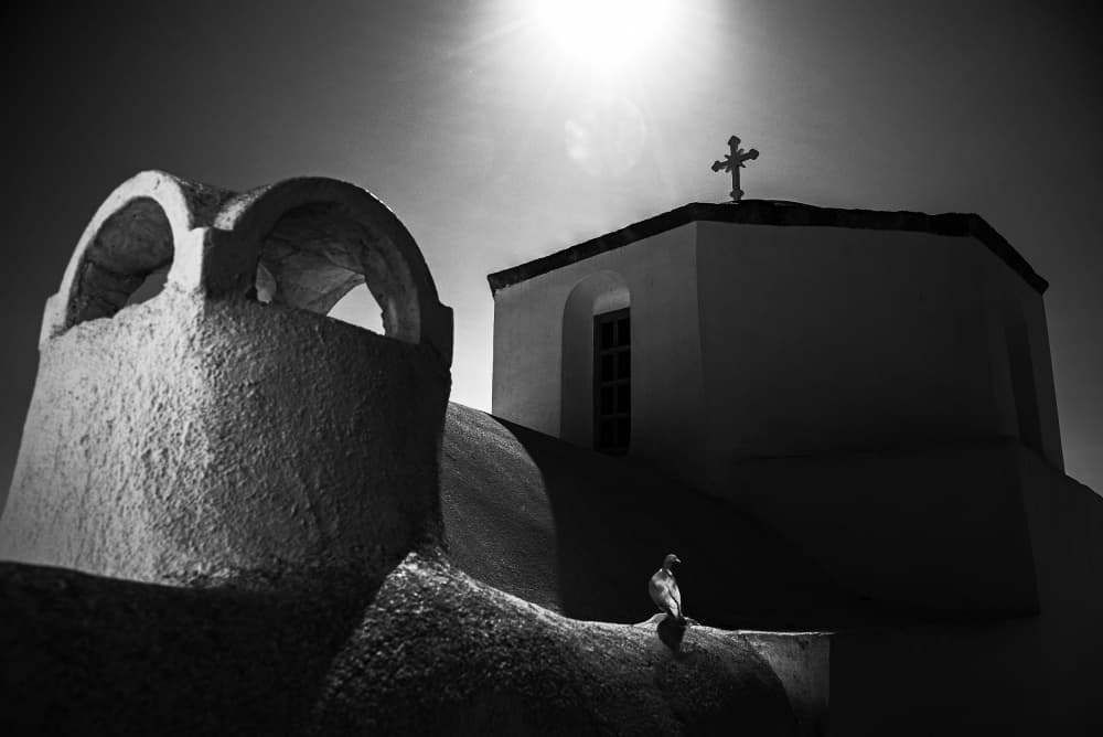 Sunlit Church Pigeon by Milan Uhrin  AFIAP AZSF — canvas wall art