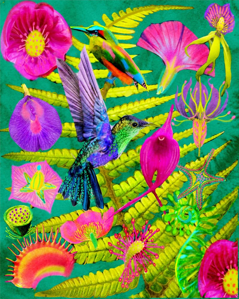 Vibrant Tropical Garden by giovanna nicolo — canvas wall art