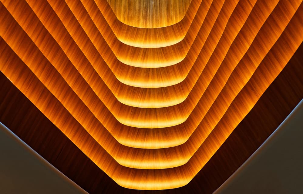 Radiant Wood Curves by Martin Fleckenstein — canvas wall art