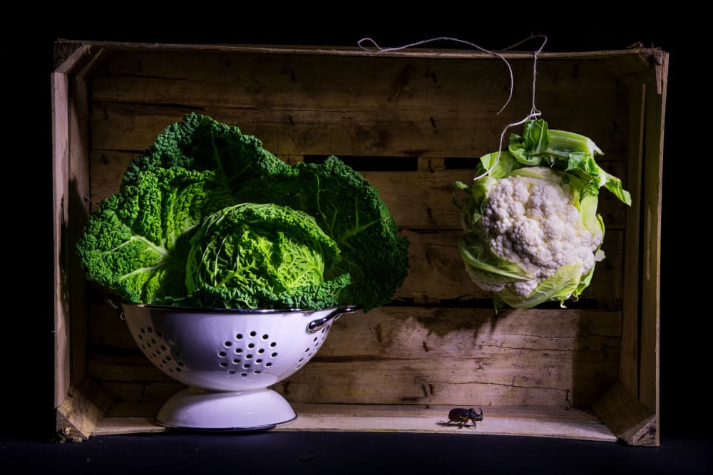 Rustic Vegetable Still Life by Felice Angelino — canvas wall art
