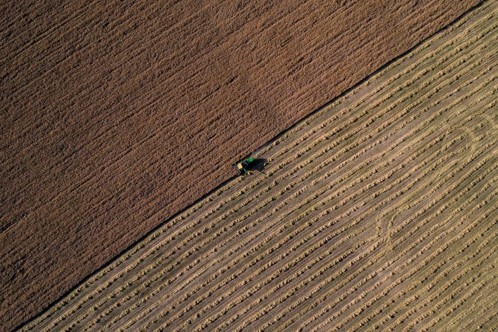 Divided Farm Fields by Hamid Jamshidian — canvas wall art