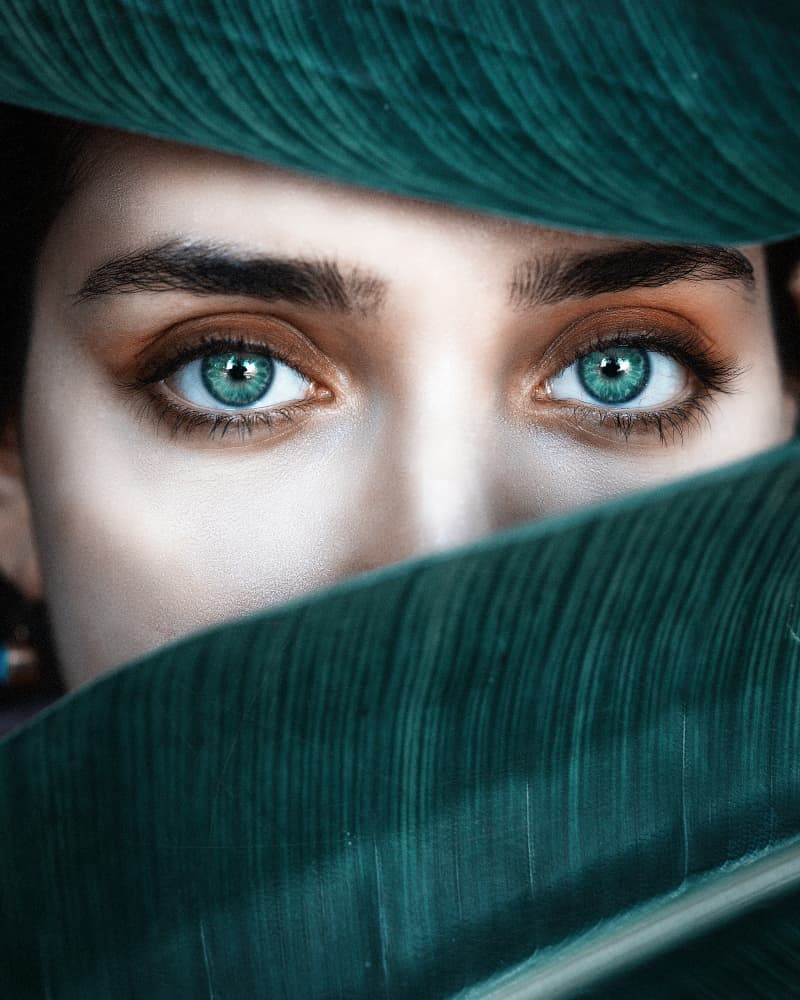 Enchanting Eyes Green Leaves by Amir Heydari — canvas wall art