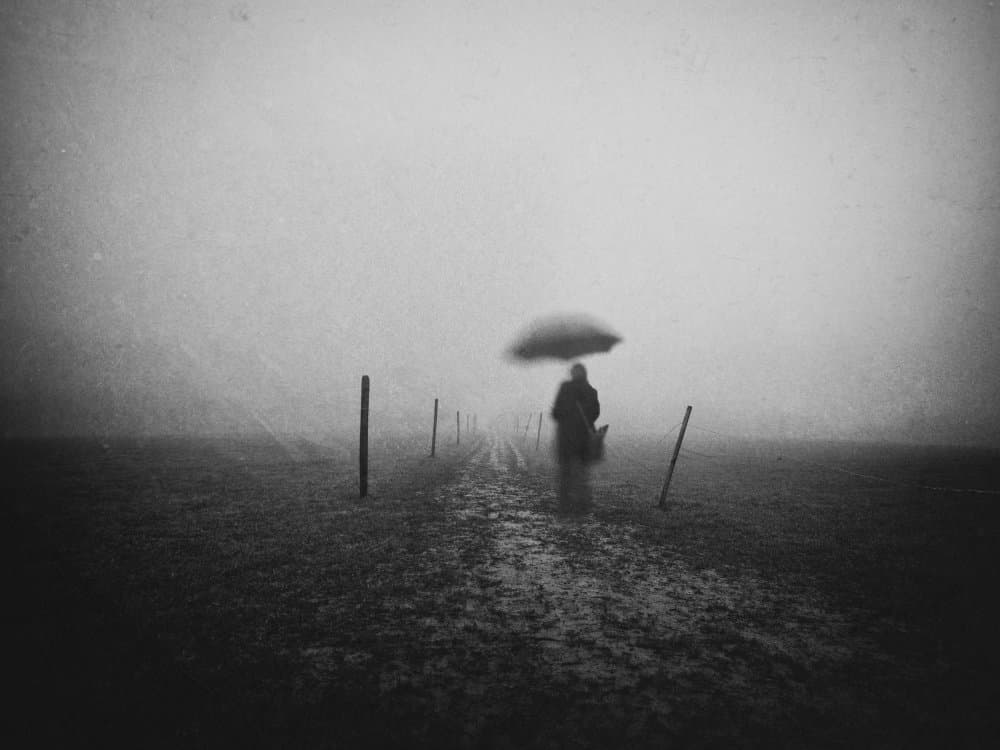 Misty Path Wanderer by Adam Dauria ☂ — canvas wall art