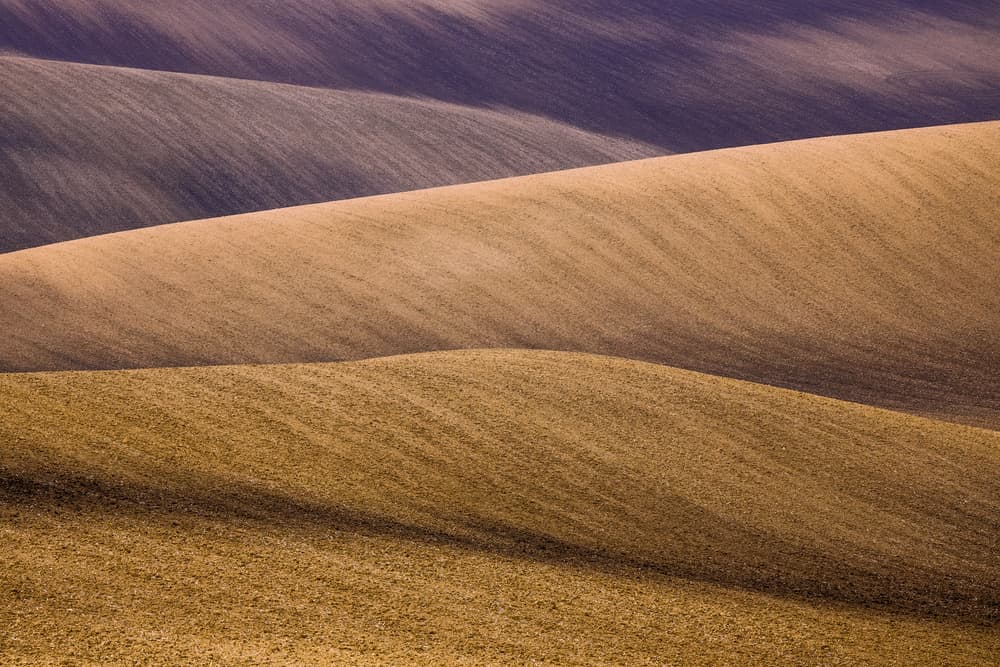 Rolling Field Patterns by Juan I. Cuadrado — canvas wall art