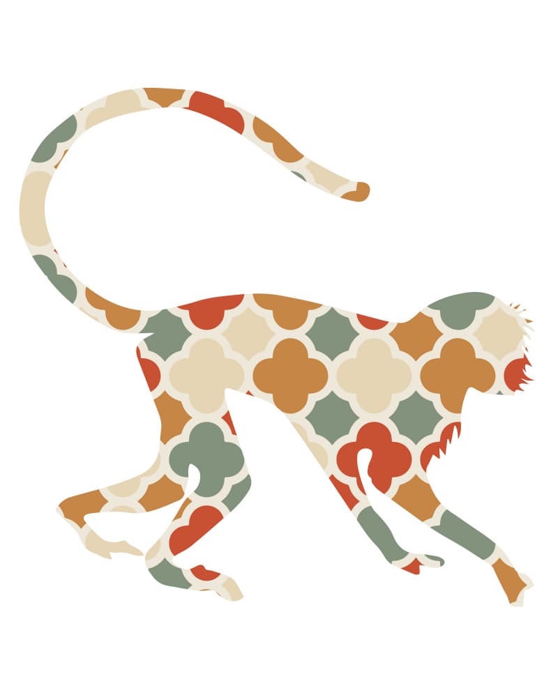Bohemian Pattern Monkey by Emiliano Deificus — canvas wall art