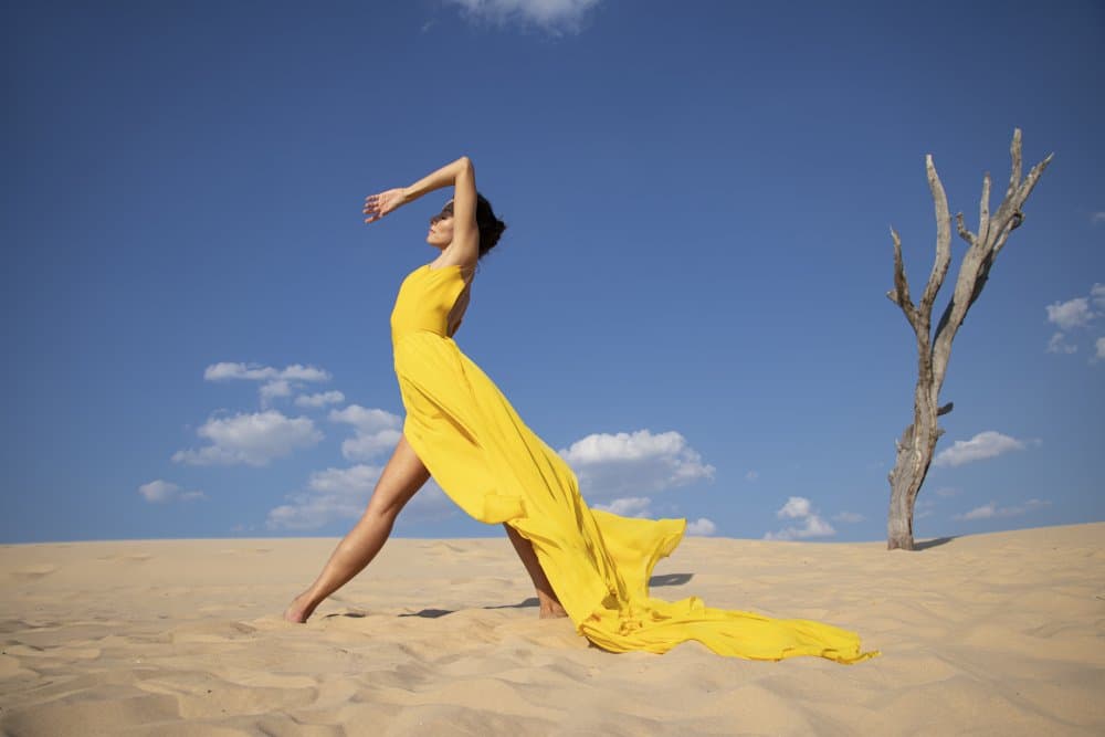 Elegant Desert Dancer by Sharon Levy — canvas wall art