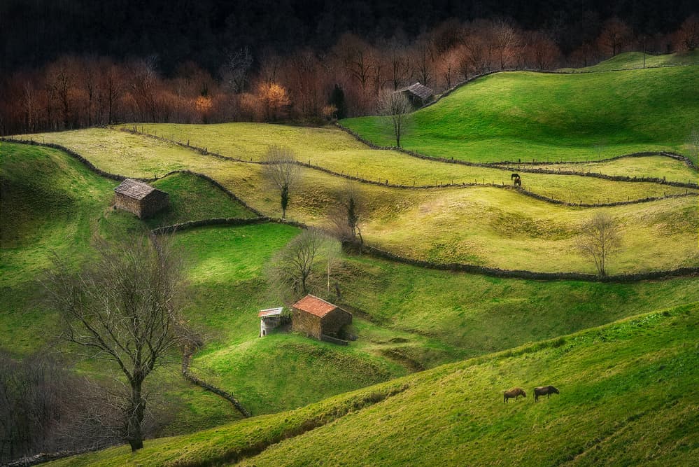 Rolling Green Hills by Oskar Baglietto — canvas wall art
