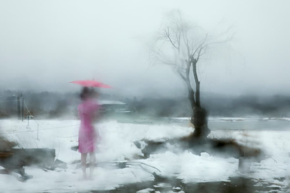 Misty Winter Pink Umbrella by Libby Zhang — canvas wall art