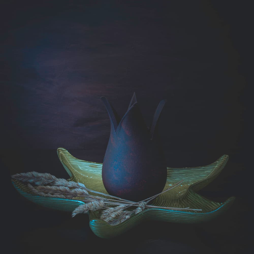 Dark Botanical Still Life by Cicek Kiral — canvas wall art