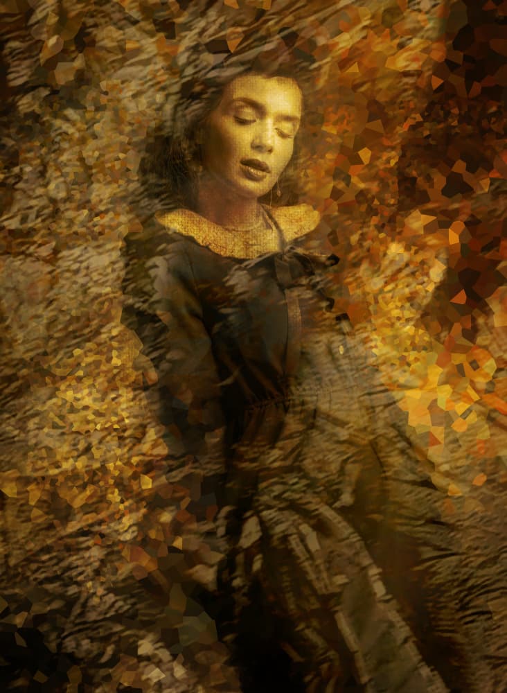 Golden Dream Portrait by Rachel Pansky — canvas wall art