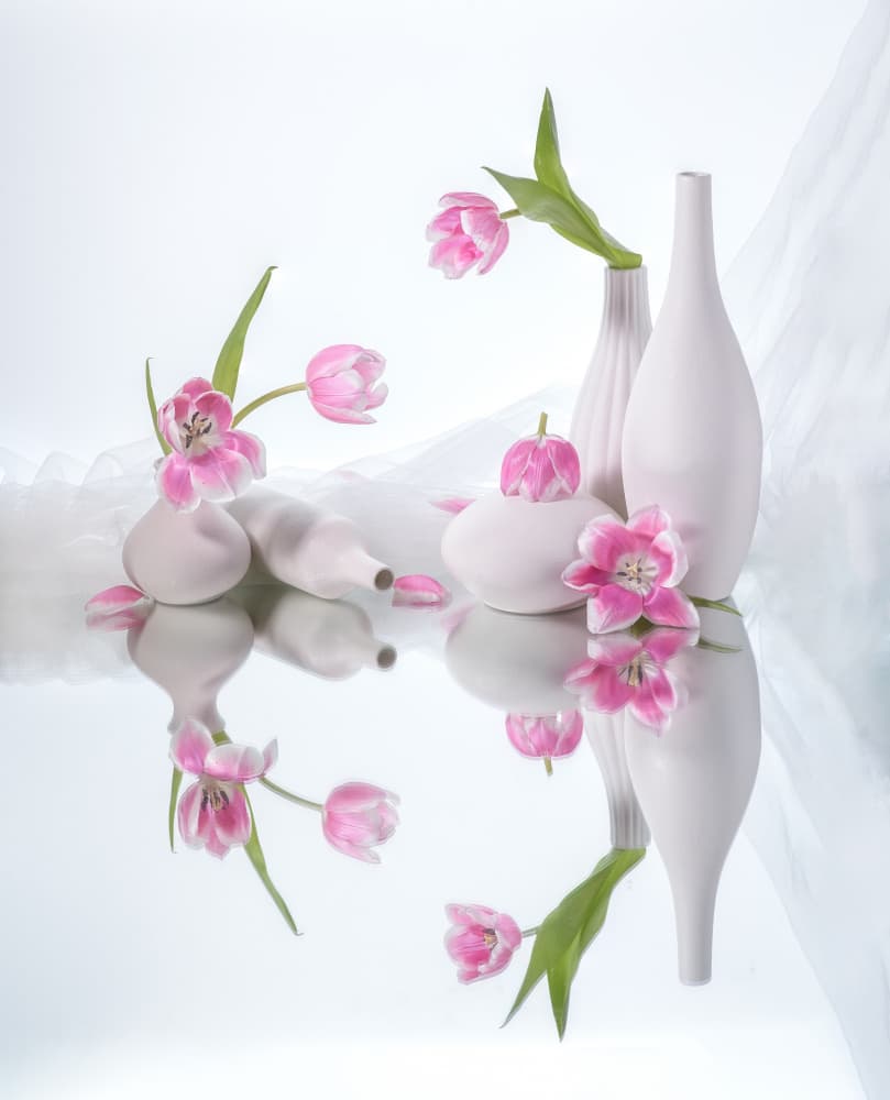 Pink Tulip Reflections by Alice Sheng — canvas wall art