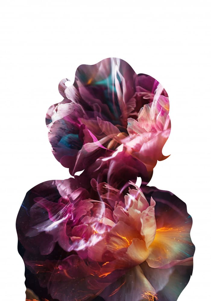 Dreamy Floral Silhouette by Sarah Manovski — canvas wall art