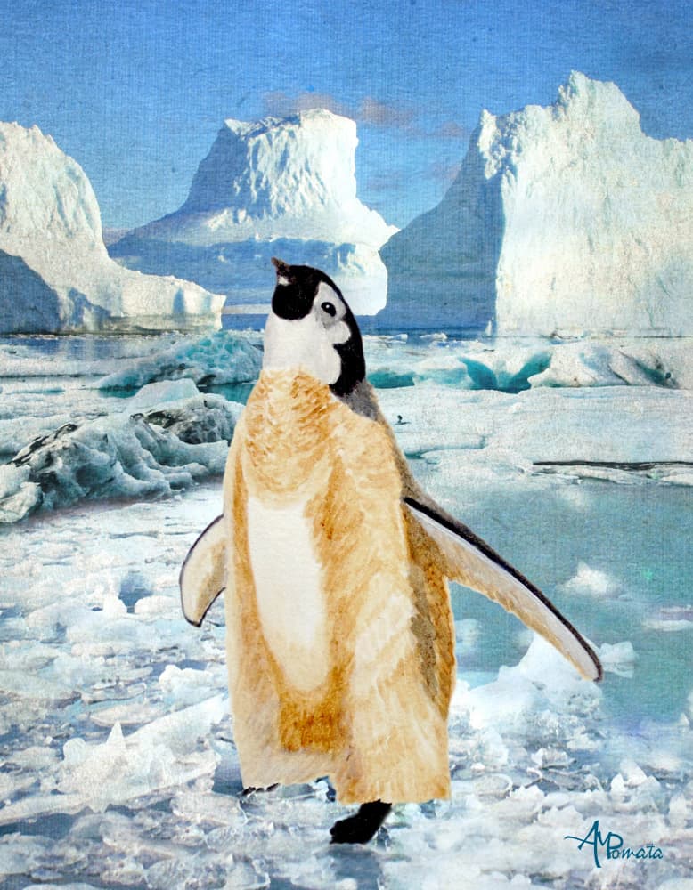 Curious Penguin Antarctic Ice by Angeles M. Pomata — canvas wall art