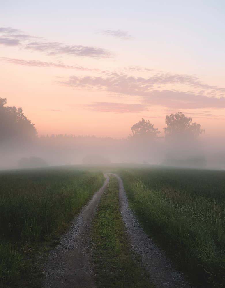 Misty Morning Path by Christian Lindsten — canvas wall art